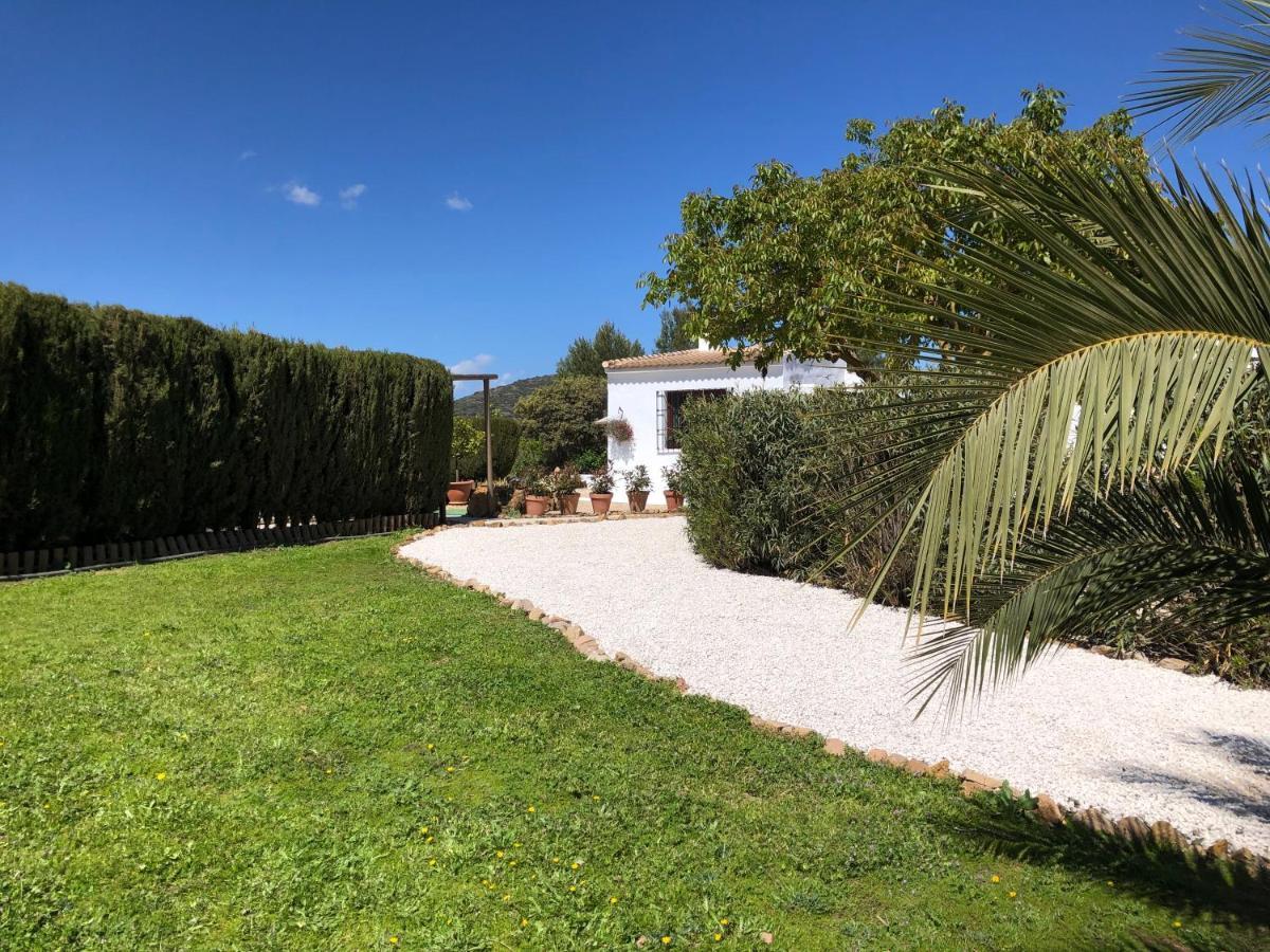 Casa La Alegria 37 Bed & Breakfast Villanueva de Tapia Екстериор снимка
