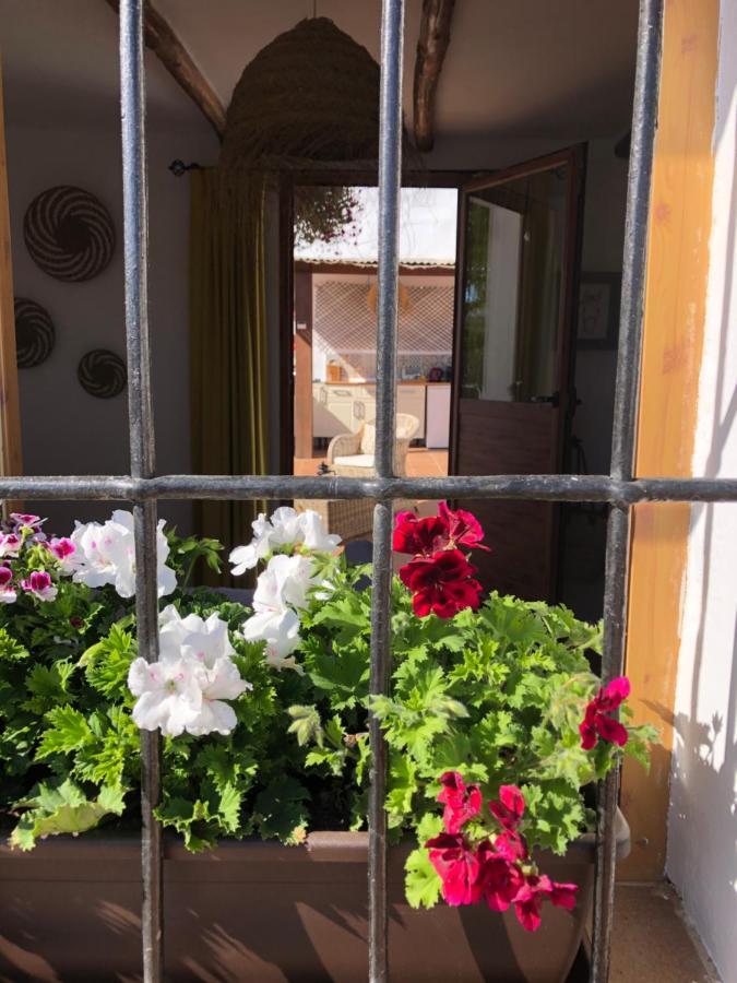 Casa La Alegria 37 Bed & Breakfast Villanueva de Tapia Екстериор снимка