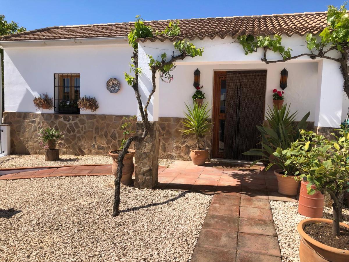 Casa La Alegria 37 Bed & Breakfast Villanueva de Tapia Екстериор снимка