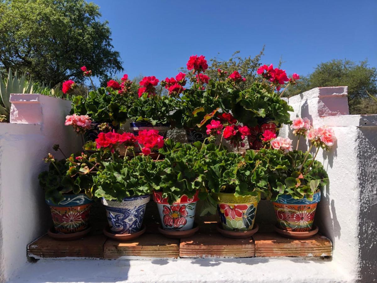 Casa La Alegria 37 Bed & Breakfast Villanueva de Tapia Екстериор снимка
